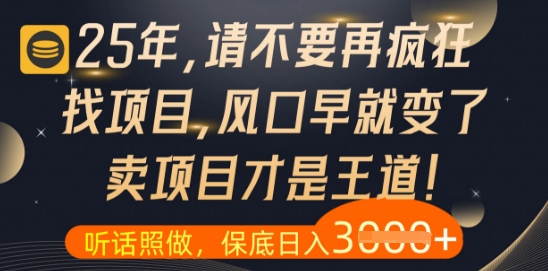 什么？25年你还在疯狂找项目做，醒醒吧，看完这些你全都懂了【揭秘】-知识星球