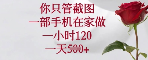 你只管截图，一部手机在家做，一小时120.一天5张【揭秘】-小禾网创