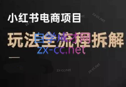 菲菲老师·小红书电商玩法(更新9月)-知识星球