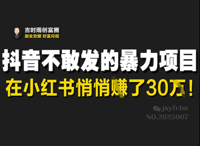 抖音不敢发的暴利项目，在小红书悄悄挣了30W-小禾网创