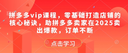 拼多多vip课程，零基础打造店铺的核心秘诀，助拼多多卖家在2025卖出爆款，订单不断-知识星球