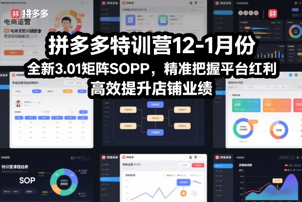 拼多多特训营12-1月份，全新3.01矩阵Sop，精准把握平台红利，高效提升店铺业绩-知识星球