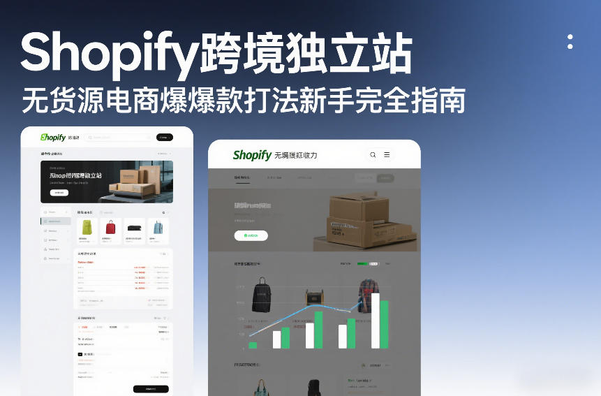 Shopify跨境独立站无货源电商爆款打法新手完全指南-知识星球