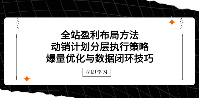 全站盈利布局方法：动销计划分层执行策略，爆量优化与数据闭环技巧-知识星球