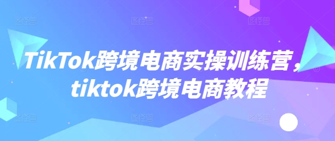 TikTok跨境电商实操训练营，tiktok跨境电商教程-小禾网创