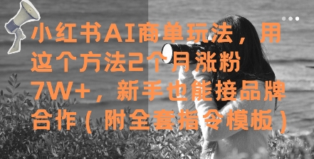 小红书AI商单玩法，用这个方法2个月涨粉7W+，新手也能接品牌合作(附全套指令模板)-知识星球
