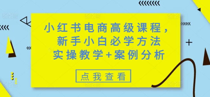 小红书电商高级课程，新手小白必学方法，实操教学+案例分析-小禾网创