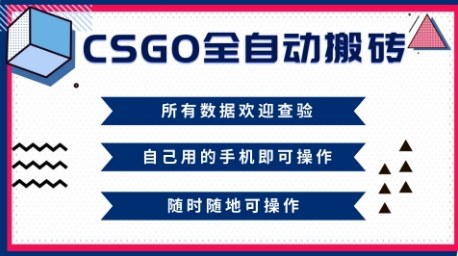 CSGO全自动搬砖，年底钱回家好项目，当天可拿到结果，新手小白轻松月入1W+【揭秘】-知识星球