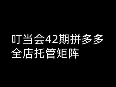 叮当会拼多多打爆班原创高阶技术第42期，拼多多全店托管矩阵-小禾网创