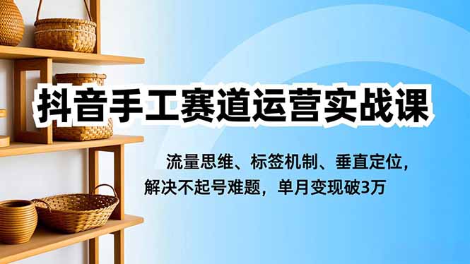 抖音手工赛道运营实战课，流量思维、标签机制、垂直定位，解决不起号难题，单月变现破3万-知识星球