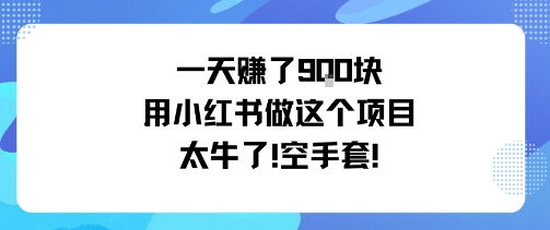 一天挣了9张用小红书做这个项目太牛了，空手套-知识星球