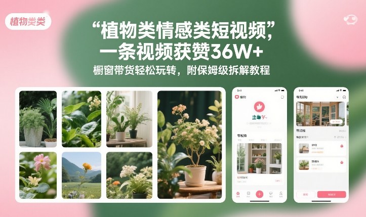 植物类情感类短视频,一条视频获赞36W+,橱窗带货轻松玩转,附保姆级拆解教程-知识星球