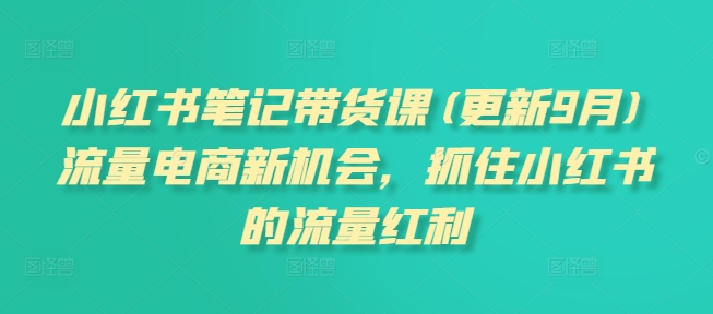 小红书笔记带货课(更新25年2月)流量电商新机会，抓住小红书的流量红利-小禾网创