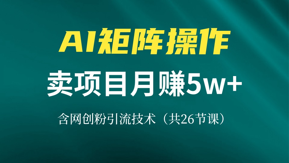 网创IP打造课，借助AI卖项目月赚5万+，含引流技术(共26节课-小禾网创