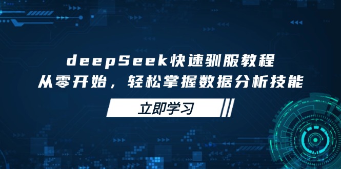 deepSeek快速驯服教程，从零开始，轻松掌握数据分析技能-小禾网创