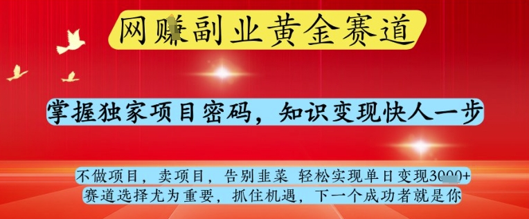 网创副业黄全赛道，掌握独家项目密码，知识变现快人一步，告别韭菜轻松实现单日变现1k+【揭秘】-知识星球