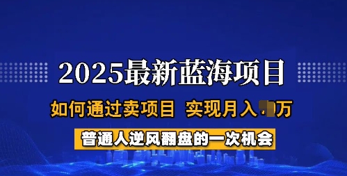 2025蓝海项目，普通人如何通过卖项目，实现月入过W，全过程【揭秘】-小禾网创