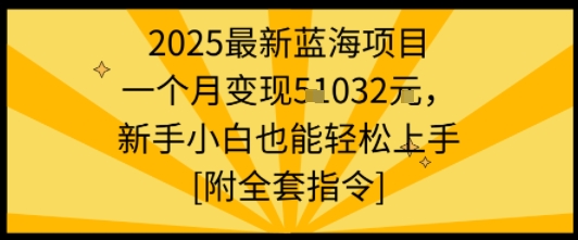 2025最新蓝海项目一个月变现1w+新手小白也能轻松上手【附全套指令】-知识星球