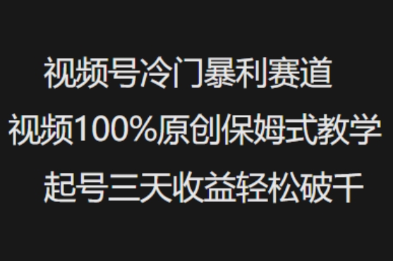 视频号冷门暴利赛道视频100%原创保姆式教学起号三天收益轻松破千-小禾网创