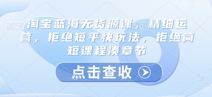 淘宝蓝海无货源课，精细运营，拒绝短平快玩法，拒绝简短课程凑章节-小禾网创