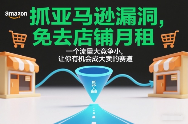 抓亚马逊漏洞，免去店铺月租，一个流量大竞争小，让你有机会成大卖的赛道-知识星球