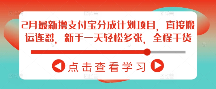 2月最新撸支付宝分成计划项目，直接搬运连怼，新手一天轻松多张，全程干货-小禾网创