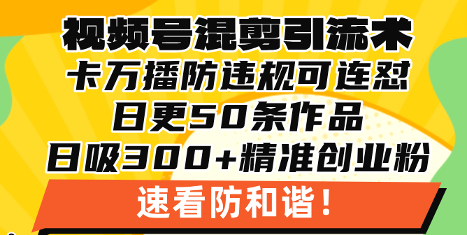 视频号混剪引流技术，500万播放引流17000创业粉，操作简单当天学会-小禾网创