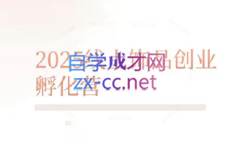 舒老师·珠宝创业实战指南-小禾网创