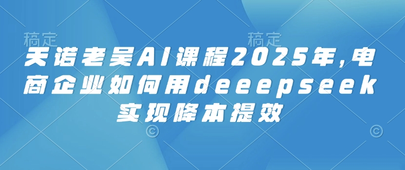 天诺老吴AI课程2025年，电商企业如何用deeepseek实现降本提效-小禾网创