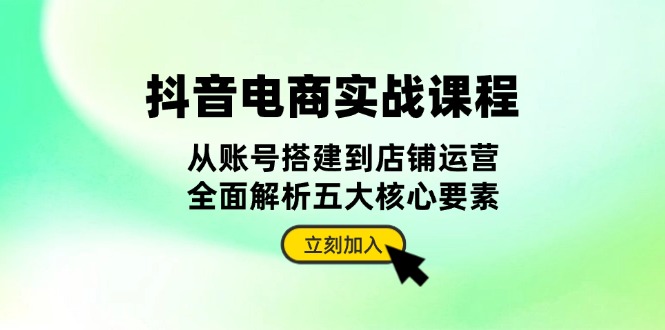 抖音 电商实战课程：从账号搭建到店铺运营，全面解析五大核心要素-小禾网创