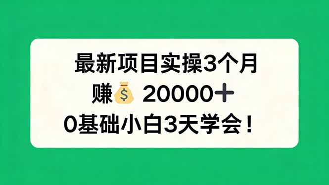 最新项目实操3个月，赚钱20000+，0基础小白3天学会！-知识星球