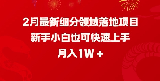 2月最新细分领域落地项目，新手小白也可快速上手，月入1W-小禾网创