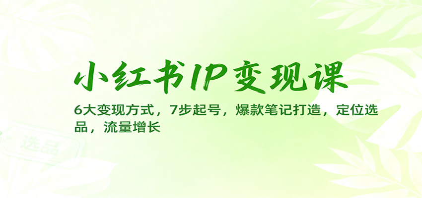 小红书IP变现课：6大变现方式，7步起号，爆款笔记打造，定位选品，流量增长-知识星球