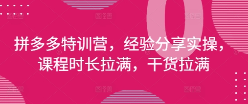 拼多多特训营，经验分享实操，课程时长拉满，干货拉满(更新25年4月)-知识星球