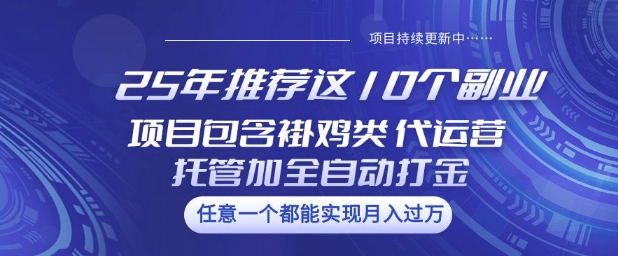 25年推荐这10个副业项目包含褂鸡类、代运营托管类、全自动打金类【揭秘】-小禾网创