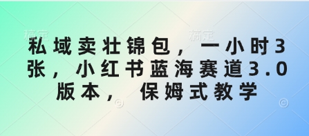 私域卖壮锦包，一小时3张，小红书蓝海赛道3.0版本， 保姆式教学-小禾网创