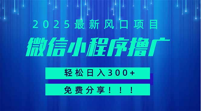 微信小程序撸广，最新风口项目，日入300+ 免费分享 可批量操作 小白可…-知识星球