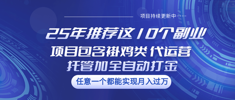 25年推荐这10个副业 项目包含褂鸡类、代运营托管类、全自动打金类-小禾网创