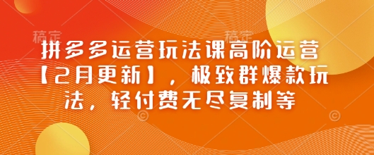 拼多多运营玩法课高阶运营【2月更新】，极致群爆款玩法，轻付费无尽复制等-小禾网创