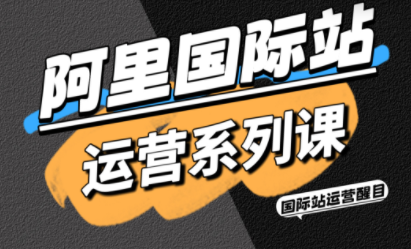 醒目老师·阿里国际站运营系列课(更新11月)-知识星球