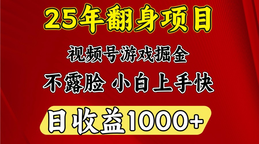 一天收益1000+ 25年开年落地好项目-小禾网创