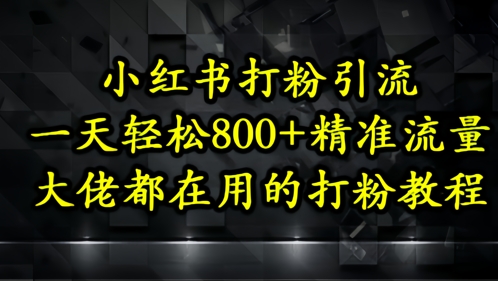 小红书打粉引流，一天轻松500+精准流量，大佬都在用的打粉教程-知识星球