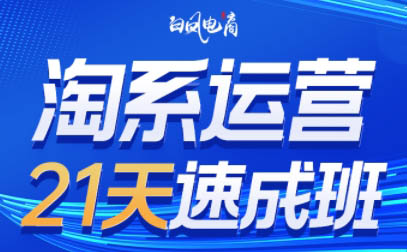 白凤电商·淘系运营21天速成班(更新4月)-知识星球
