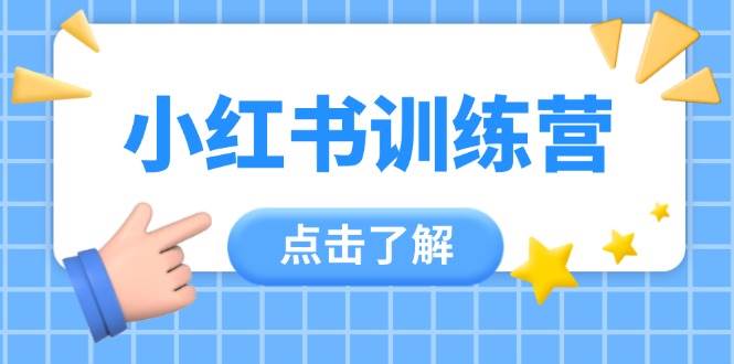 小红书训练营，助小白入门，掌握技巧变达人，课程实操又全面(12节课)-知识星球