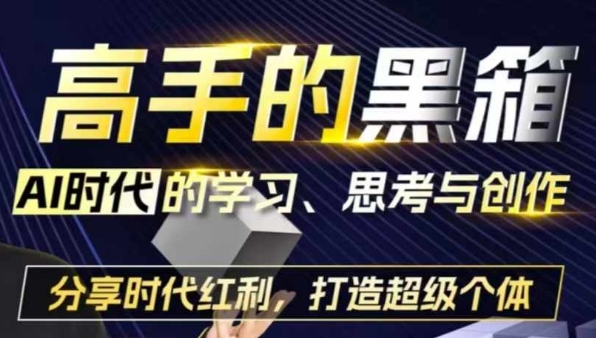 高手的黑箱：AI时代学习、思考与创作-分红时代红利，打造超级个体-小禾网创