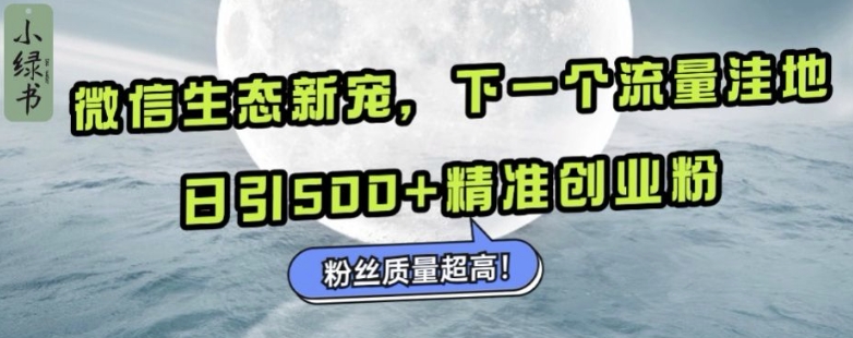 微信生态新宠小绿书：下一个流量洼地，日引500+精准创业粉，粉丝质量超高-小禾网创