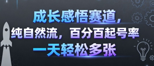 成长感悟赛道，纯自然流，百分百起号率 一天轻松多张-知识星球