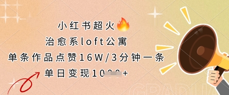 小红书超火的治愈系loft公寓，单条作品点赞16W，3分钟一条，单日变现数张-知识星球