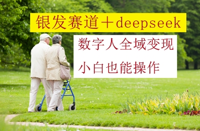 银发赛道+deepseek数字人全域变现，小白也能操作-知识星球
