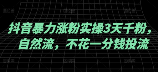 抖音暴力涨粉实操3天千粉，自然流，不花一分钱投流，实操经验分享-小禾网创